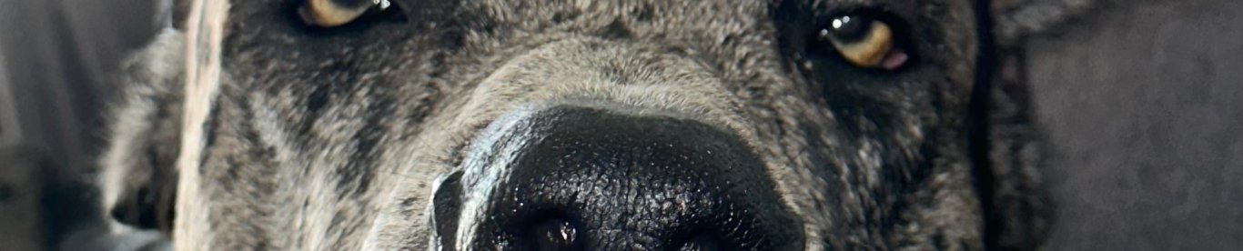 Primer plano de la mirada de Salvador
